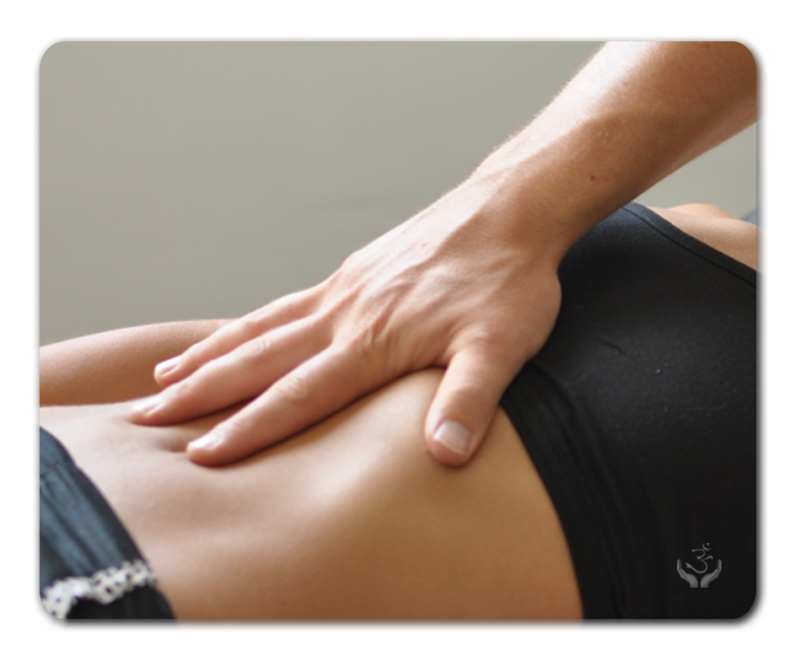 Formation : Massage ventre et anatomie
à Liège : Formation massage ventre - Sphère viscérale Cycle 2 -